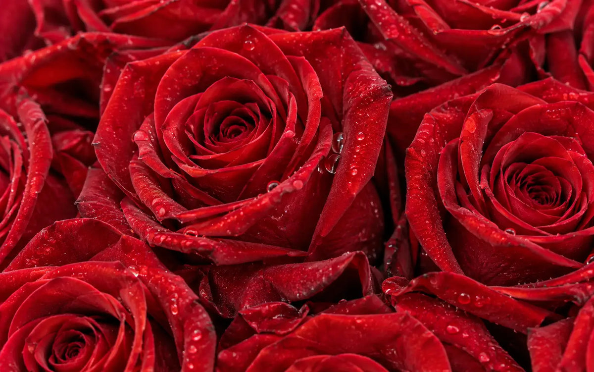 Premium flower bouquet by Flowerdxb