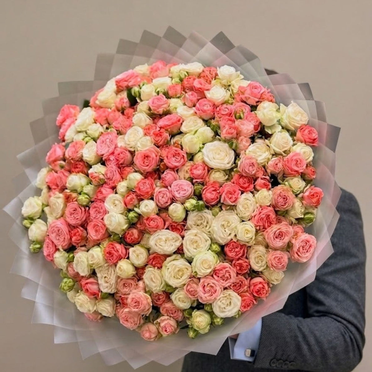 100 White & Pink Garden Baby Roses – Luxury Bouquet, delivery Dubai FlowerDXB