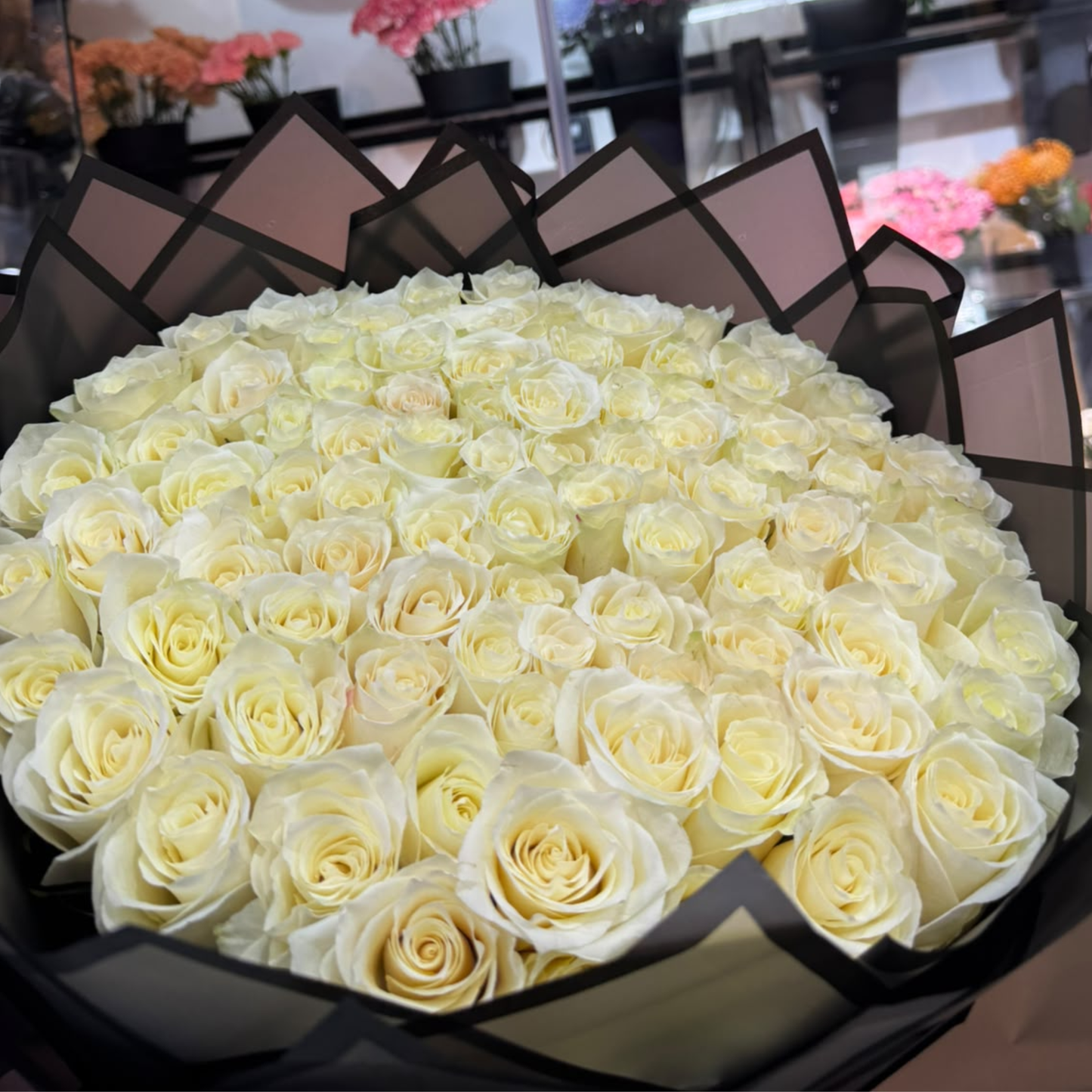 100 White Roses – Black Wrapping | Elegant Contrast Bouquet Dubai