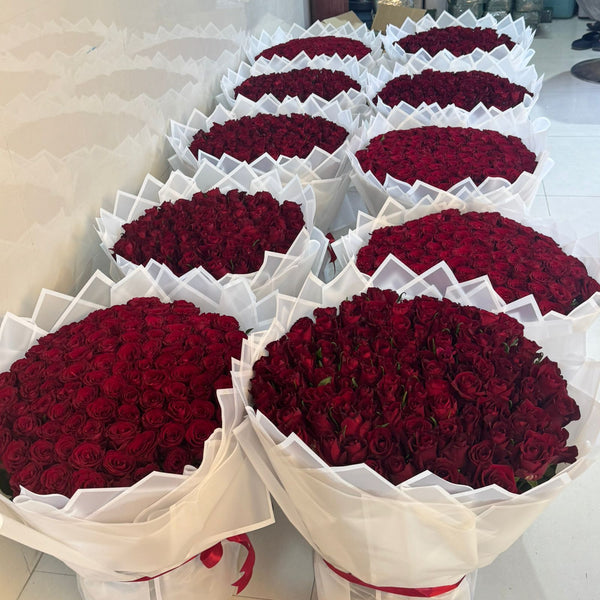 1,000 Red Roses - 10 Hand-Tied Bouquets in White Wrapping | Same-Day Dubai