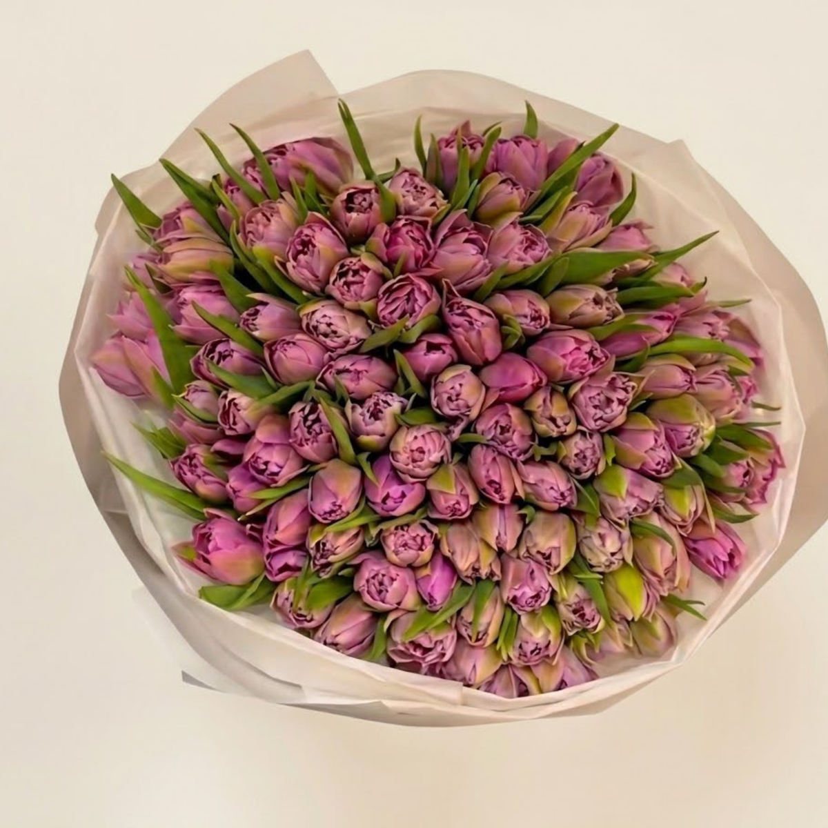 100 Purple Tulips - Next-Day Delivery
