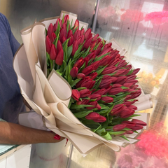 100 Red Tulips Bouquet Luxury Fresh Tulip