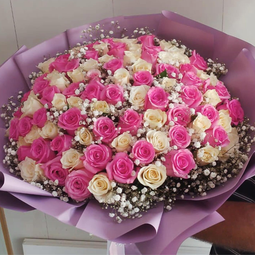 100 White & Pink Roses with Gypsophila Bouquet