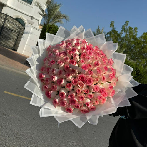 100 pink white double shade roses white wrapping top-seller same-day delivery Dubai AED 335 Flowerdxb