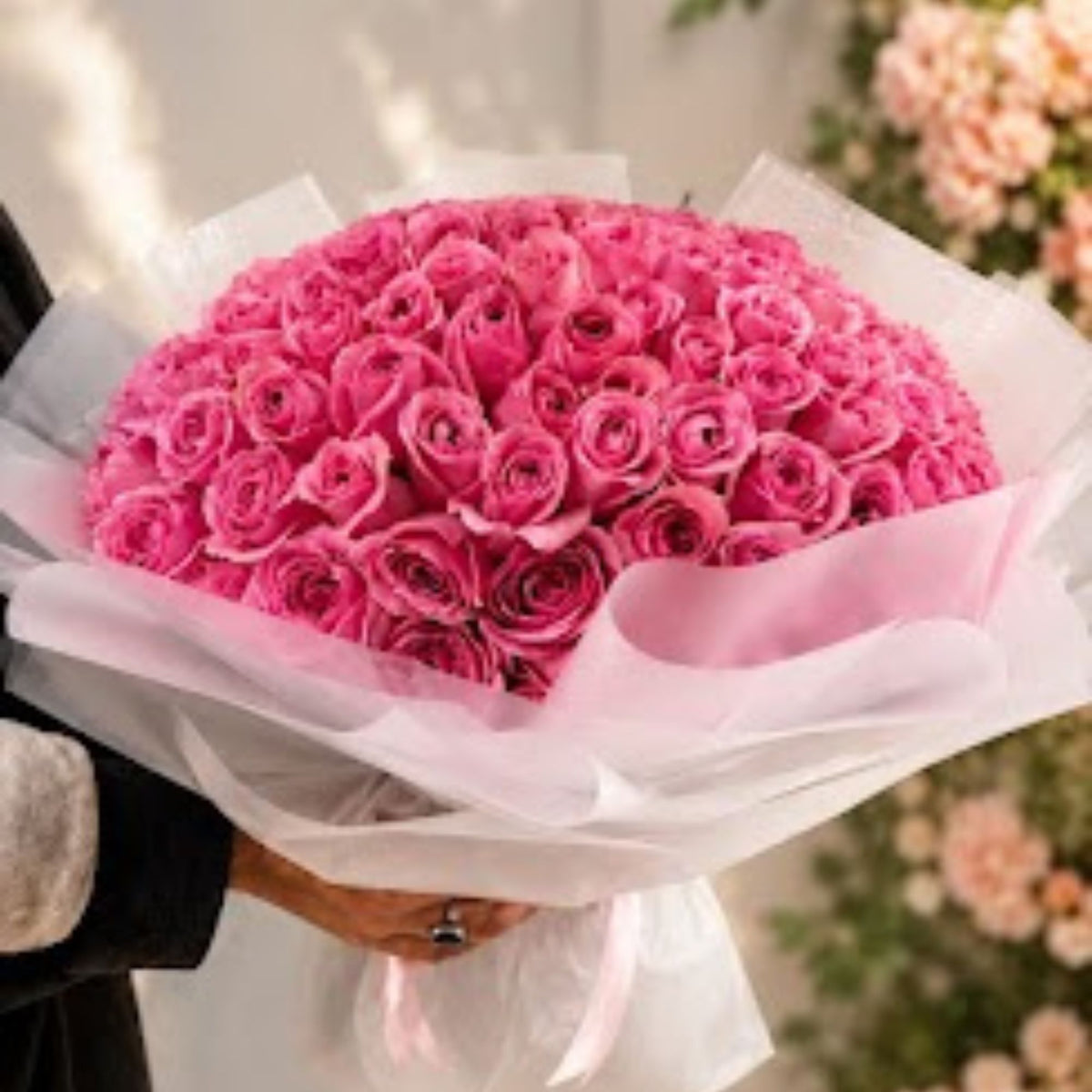 101 Pink Roses – Clear Wrapping | The Extra Rose That Says Everything