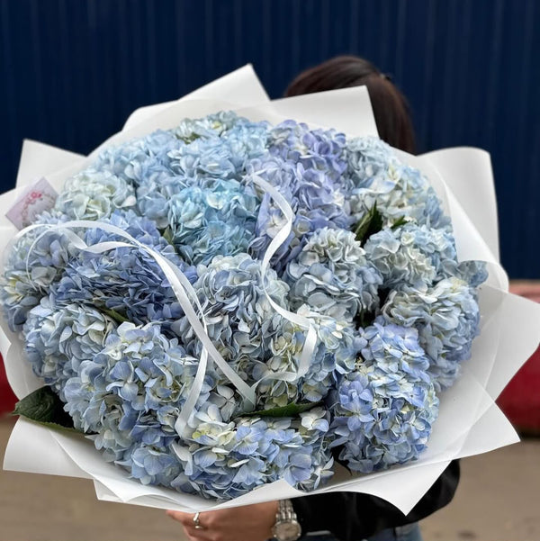 25 Light Blue Hydrangeas – Luxury Bouquet | Same-Day Dubai Delivery