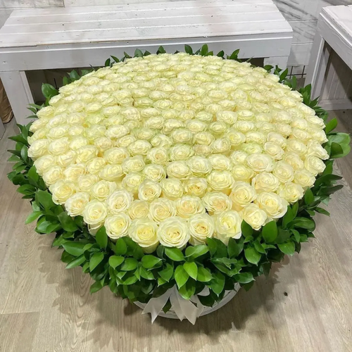 300 White Roses in Rosecus Green Leaf Box