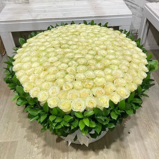 300 White Roses in Rosecus Green Leaf Box