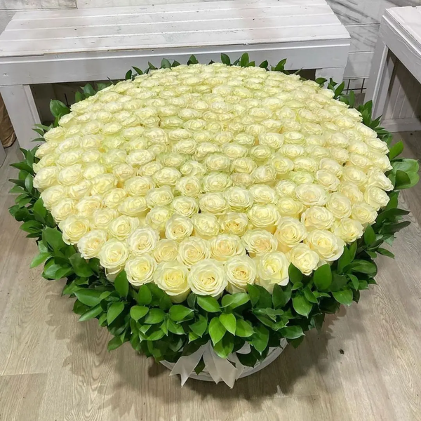 300 White Roses in Rosecus Green Leaf Box
