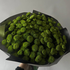 40 Green Button Chrysanthemums – Unique Luxury Bouquet | Dubai Delivery