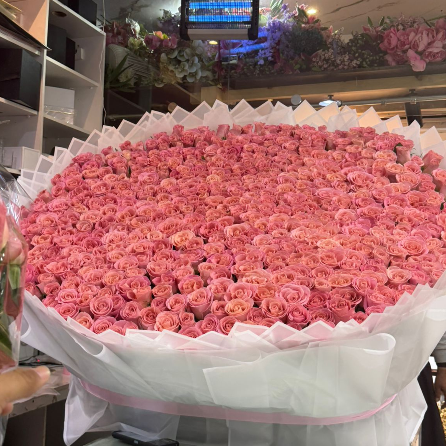 500 Long Stem Pink Roses Bouquet Luxury Flower