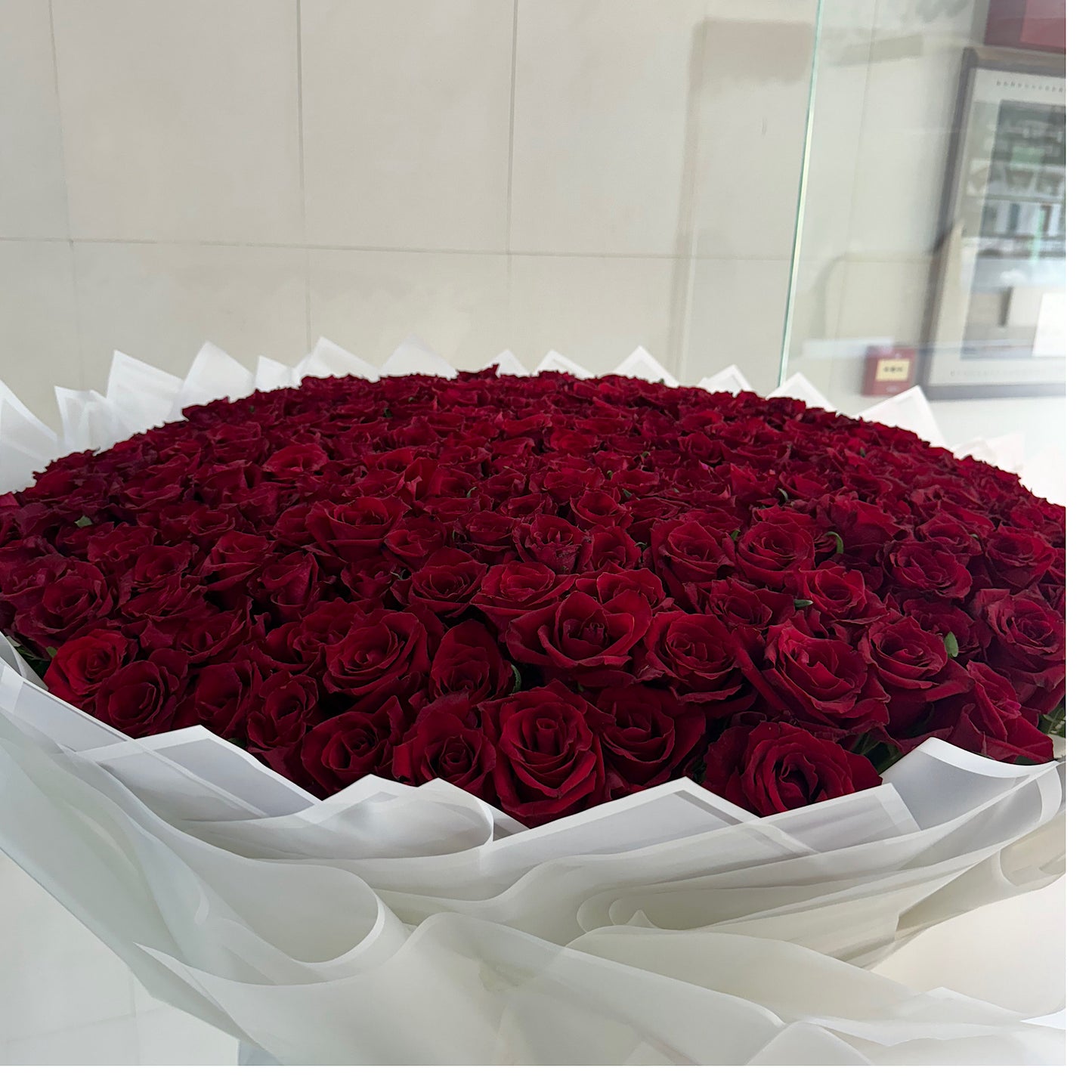 400 Red Roses – White Wrapping