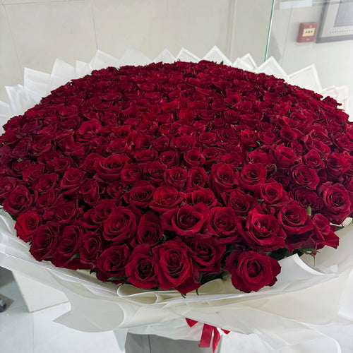 400 Red Roses – White Wrapping