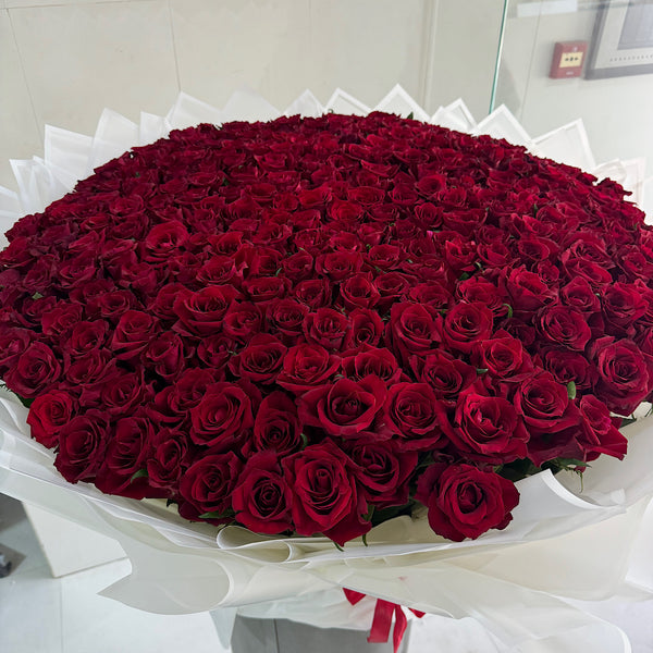 400 Red Roses – White Wrapping