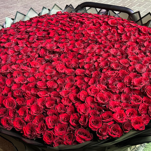 500 Red Roses Bouquet – Black Wrapping | Premium Flower Delivery