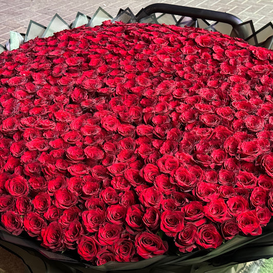 500 Red Roses Bouquet – Black Wrapping | Premium Flower Delivery