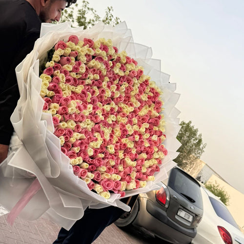 400 Roses – White & Pink Mix | Bulk Luxury Flowers | Same-Day Delivery Dubai | Flower DXB