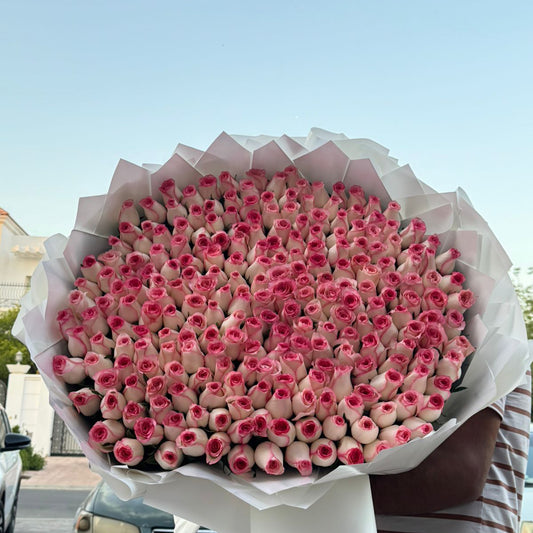 250 Roses – Pink & White Double Shade | Bi-Color Luxury Bouquet | Same-Day Delivery Dubai | Flower DXB