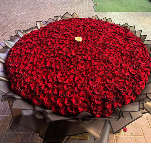 1,001 Red Roses – Plastic Black Wrap | The 