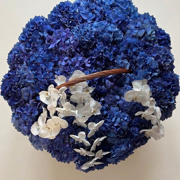 Large Dark Blue Hydrangeas + White Orchid Basket - Next-Day Delivery