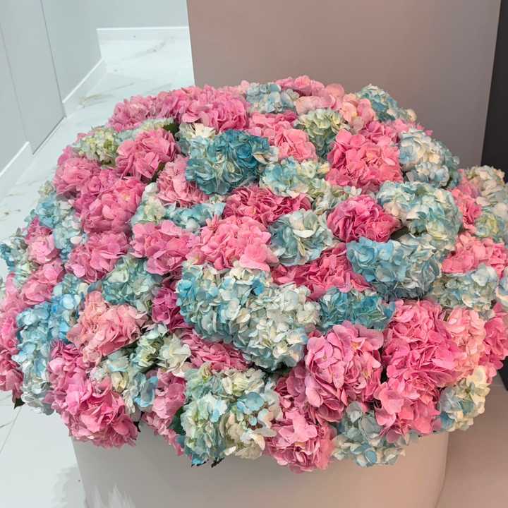 Large Pink and Blue Hydrangeas Box XXXL
