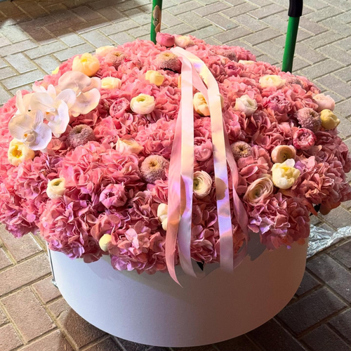 Luxury Hydrangea, Ranunculus & Ping Pong Flower Box