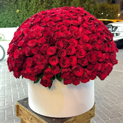 Premium Red Rose Box 400 Stems  Fresh Flower Bouquet for Events