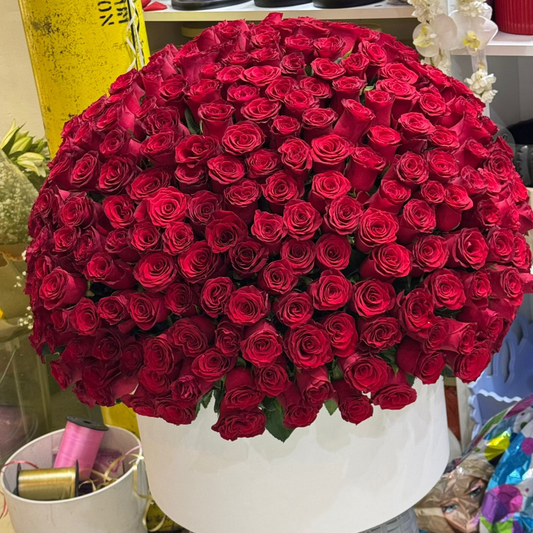Premium Red Rose Box 400 Stems  Fresh Flower Bouquet for Events