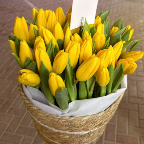 50 Yellow Tulips Basket Luxury Fresh Tulip