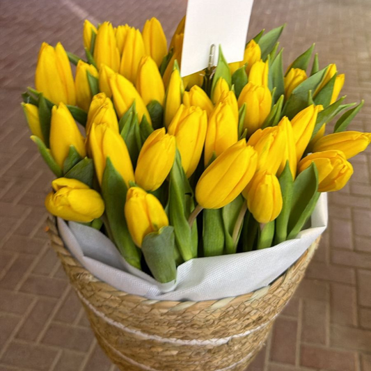 50 Yellow Tulips Basket Luxury Fresh Tulip
