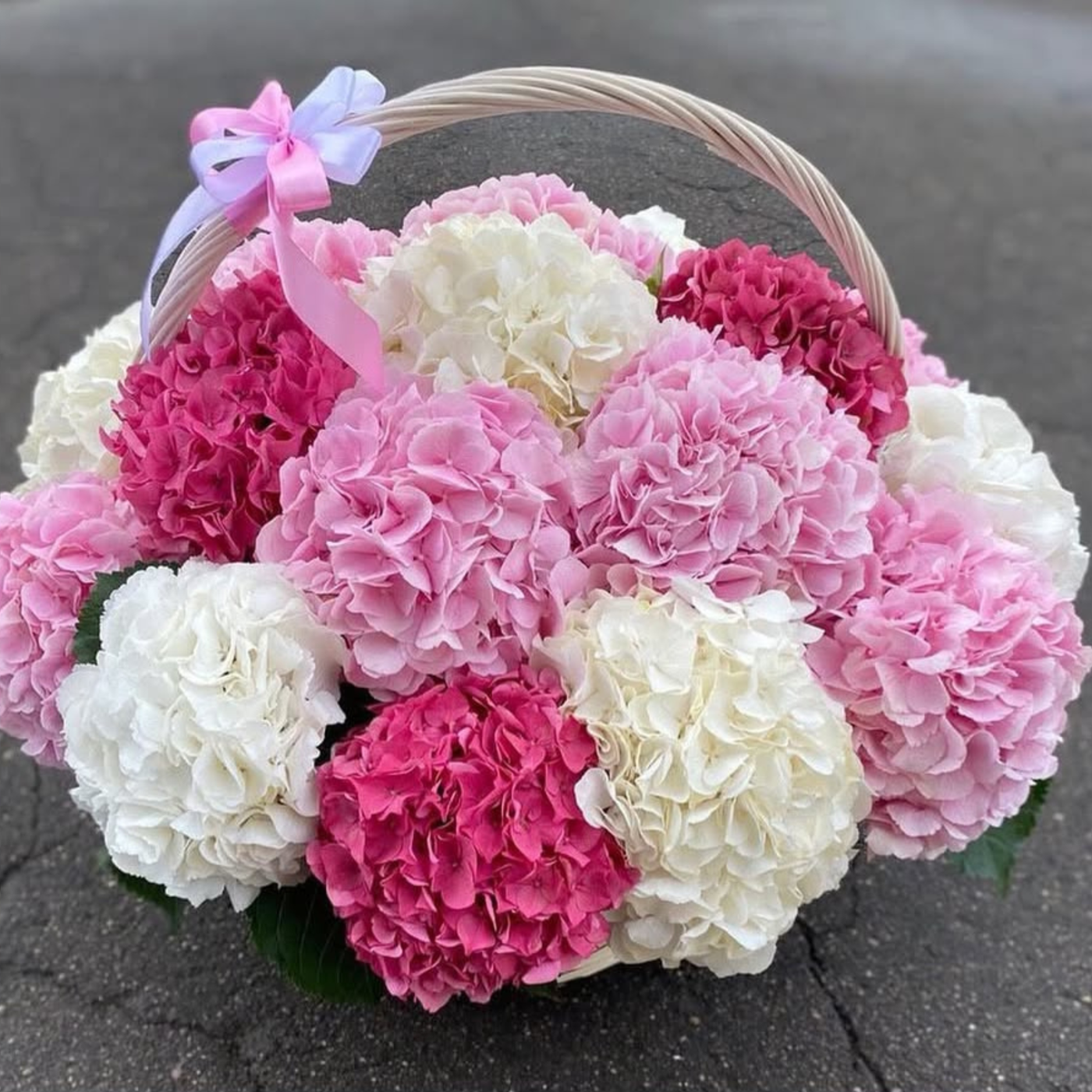 25 Mixed Hydrangeas – Luxury Colour Bouquet | Same-Day Dubai Delivery