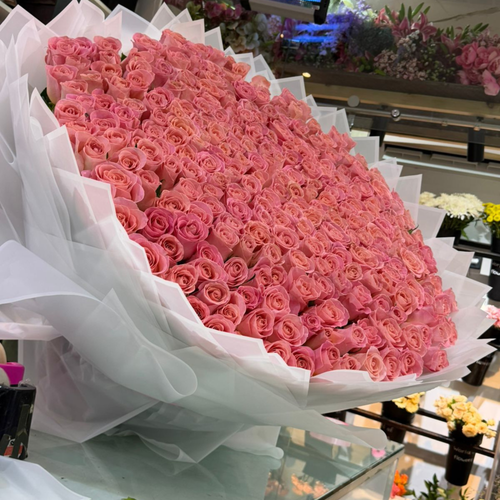 500 Long Stem Pink Roses Bouquet Luxury Flower