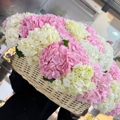 Premium Hydrangea Basket Dubai | Pink & White Hydrangea Arrangement