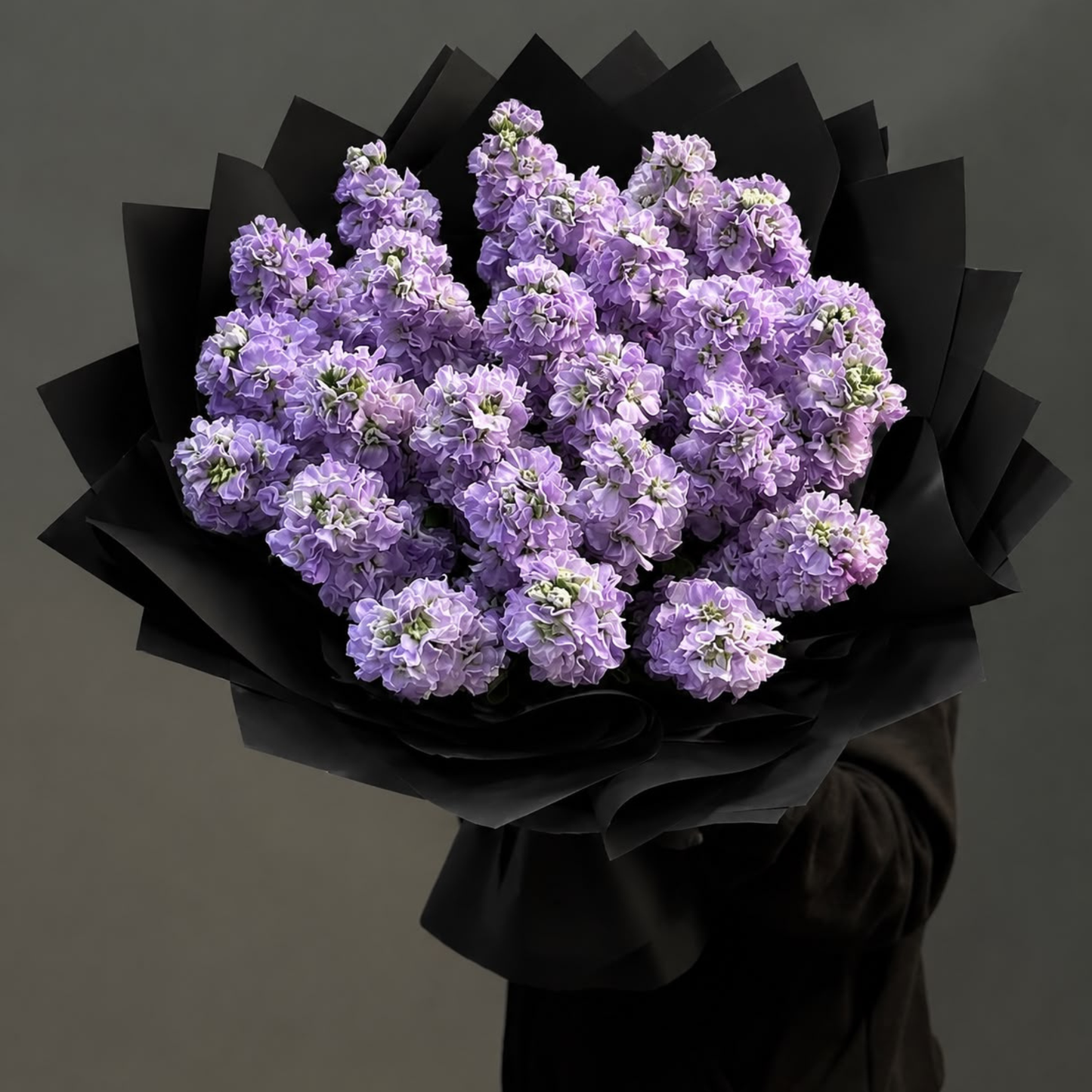 40 Purple Matthiola (Stock Flower) – Fragrant Luxury Bouquet | Dubai
